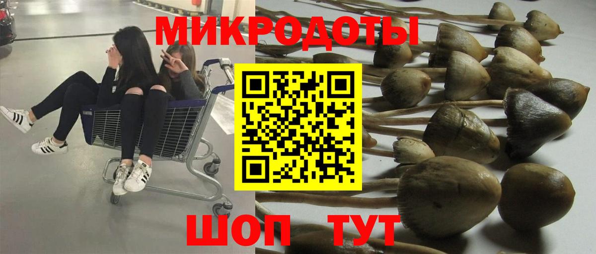 Псилоцибиновые грибы Psilocybe  Вход с VPN  Екатеринбург 